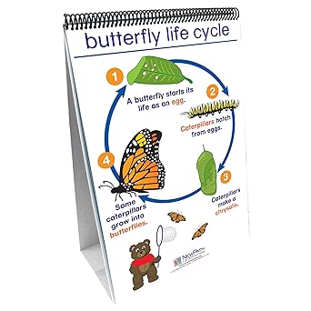 New Path Learning NewPath Learning All About Animals Curriculum Mastery Flip Chart Set, Early Childhood