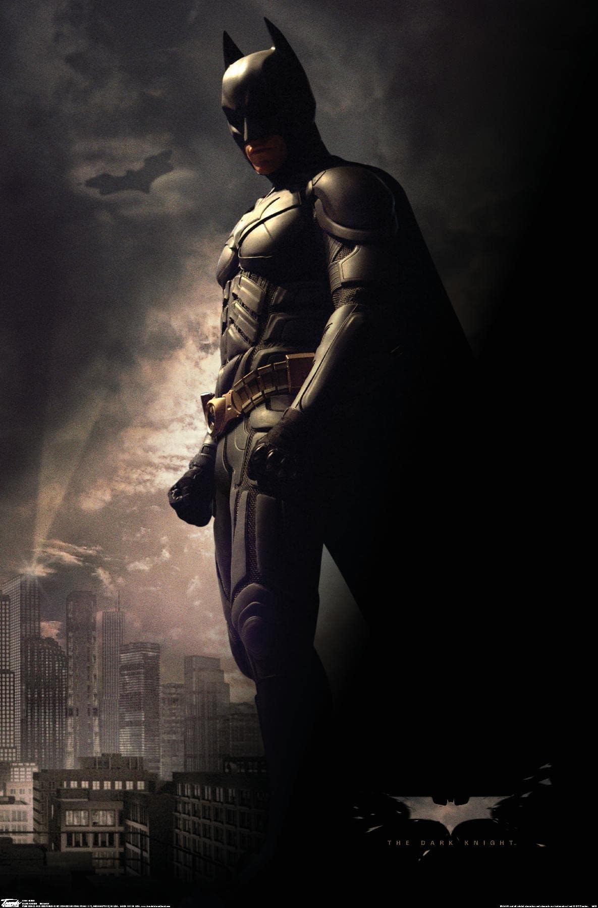 Trends International DC Comics Movie - The Dark Knight - Batman In The Shadows Wall Poster, 22.375" x 34", Unframed Version