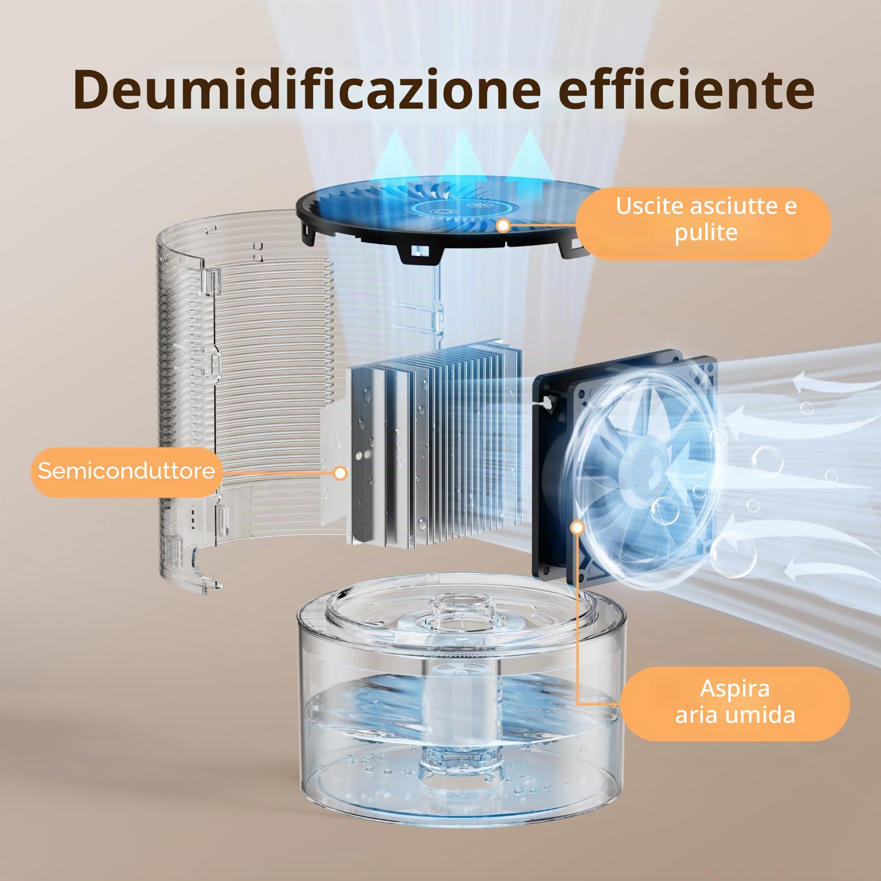 Deumidificatori per la Casa, Deumidificatore Portatile per la Camera da Letto, Ultra-Silenzioso, Spegnimento Automatico, a Risparmio Energetico per il Bagno