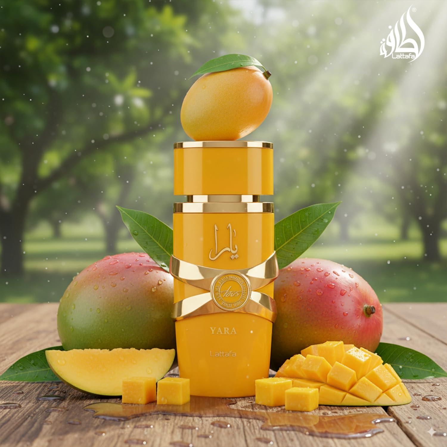 Amazon.com: Lattafa Yara Tous - Tropical, Fruity, Floral, Vanilla