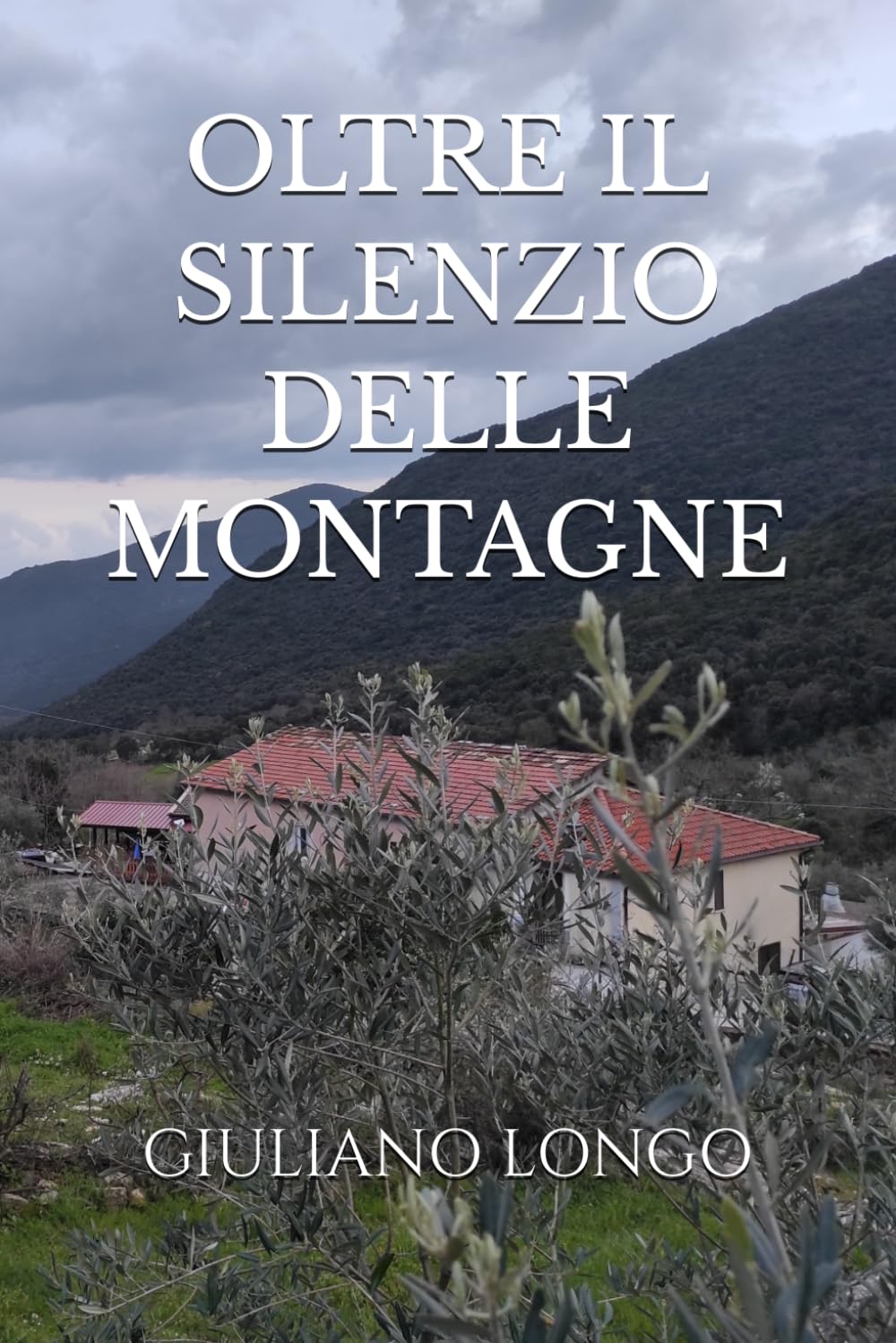 OLTRE IL SILENZIO DELLE MONTAGNE