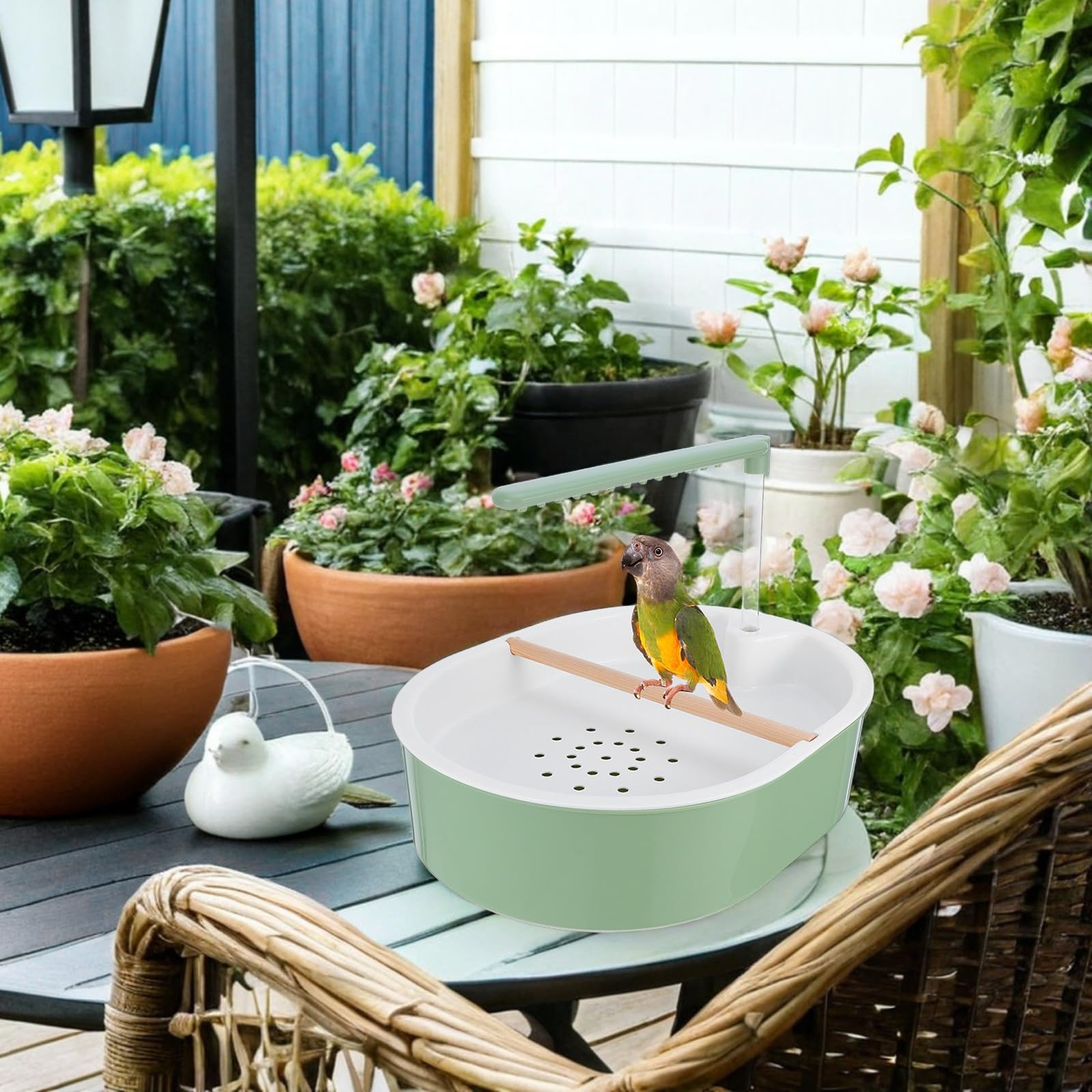 BESPORTBLE Ducha para Loros: Bañera automática para Aves con Bomba - Bañera USB para Aves, Juguete de baño con dispensador de Agua para Hurones y jilgueros.