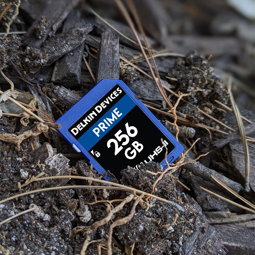 Amazon.com: Delkin Devices Prime 256GB SDXC UHS-II (U3/V60) Memory