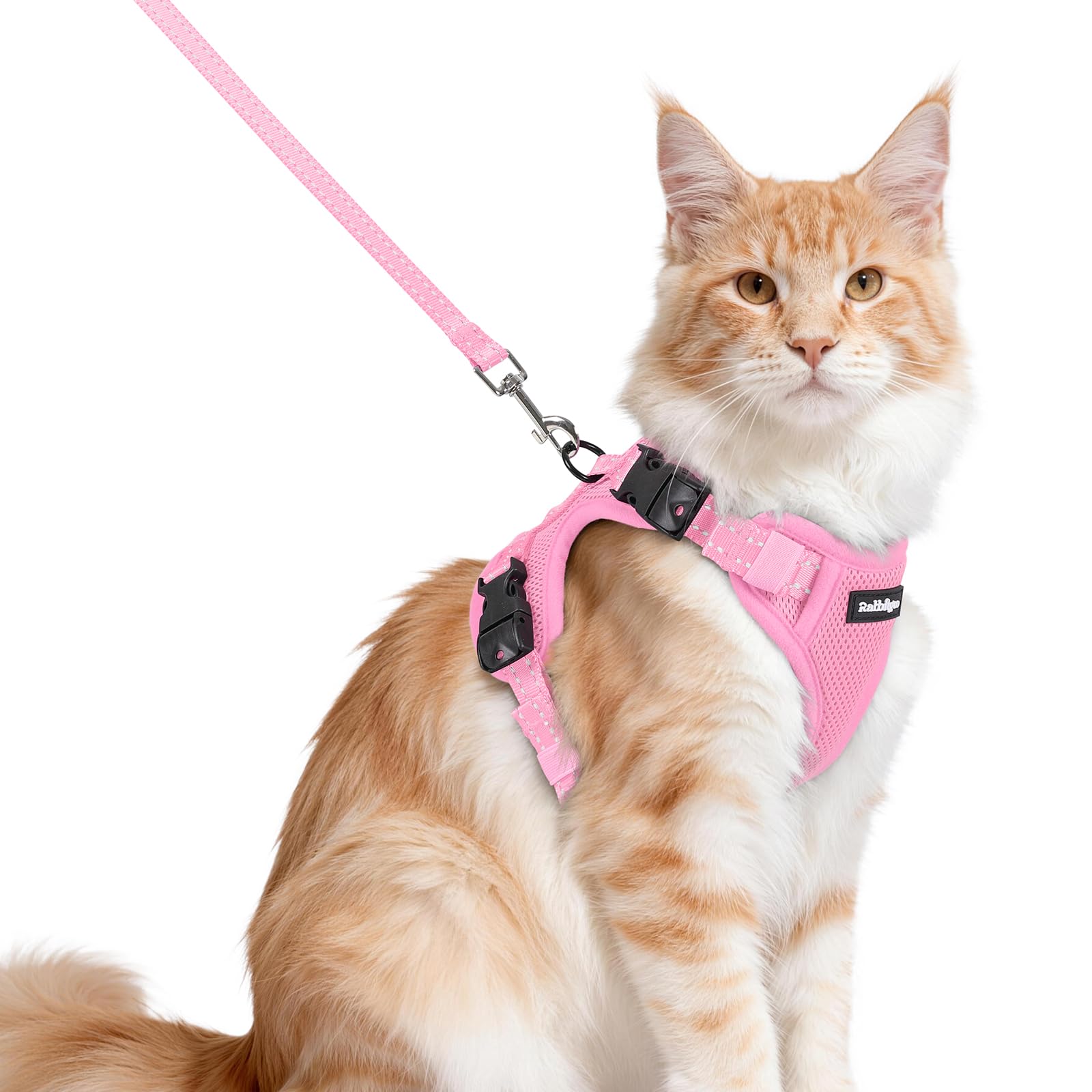 rabbitgoo Cat Harness and Lead Set, Escape Proof Kitten Harness with 3 Adjustable Buckles, Soft Comfortable Cat Vest with Leash, Easy to Wear, Reflective for Safe Outdoor Walking, Medium, Pink