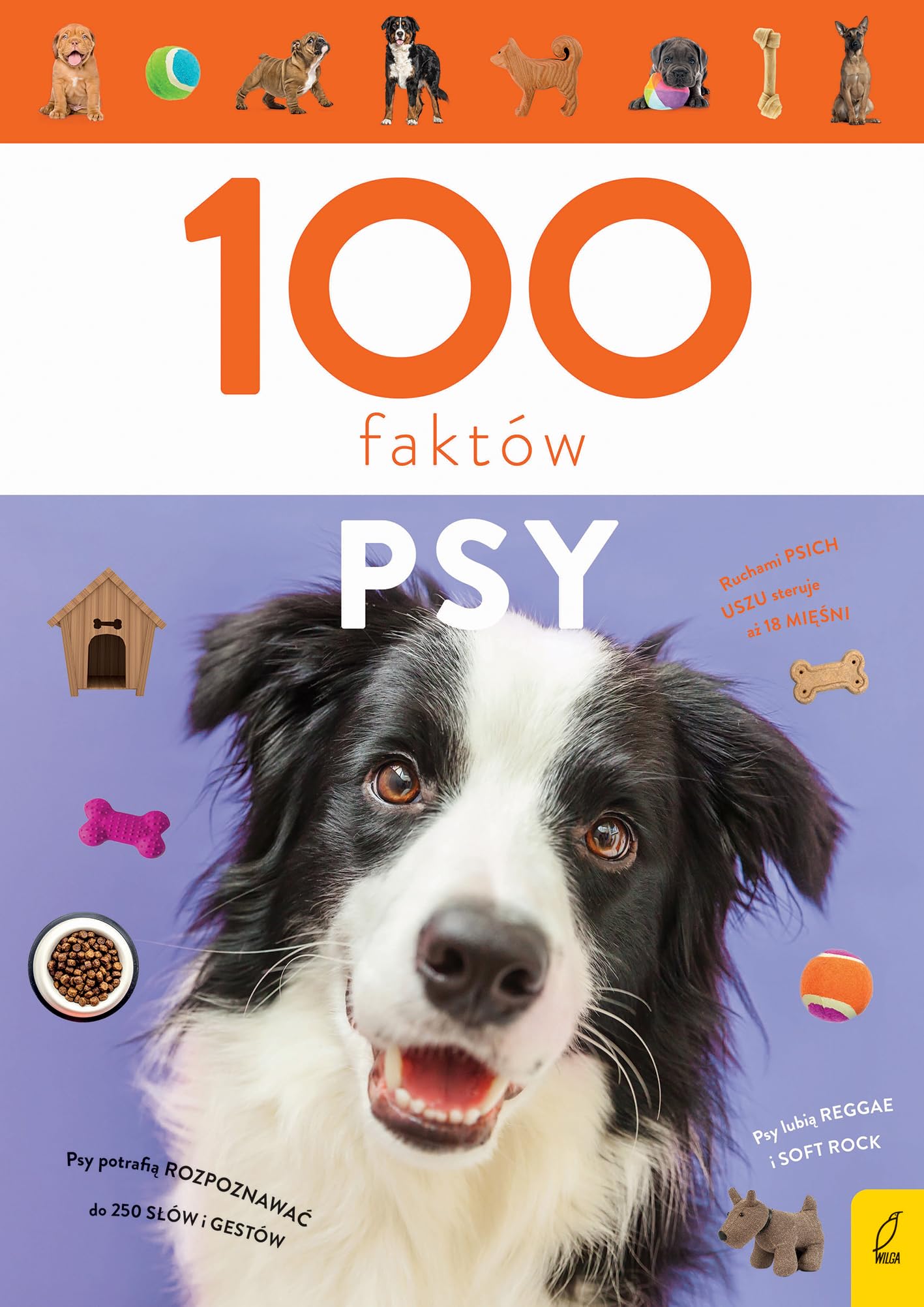 PSY. 100 FAKTÓW