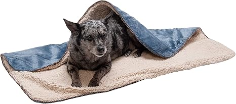 dog blankets australia