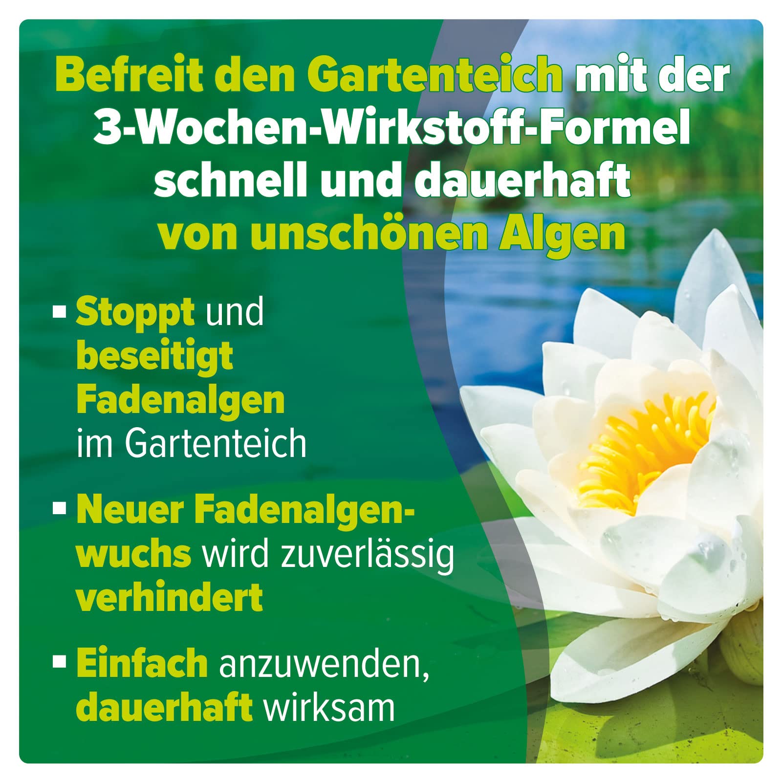 AQUALITY Gartenteich Fadenalgen-EX Flüssig (Flüssiger Fadenalgenvernichter, Algenmittel, Algenentferner. Löst Sich schnell im Teich auf), Inhalt:10 Liter