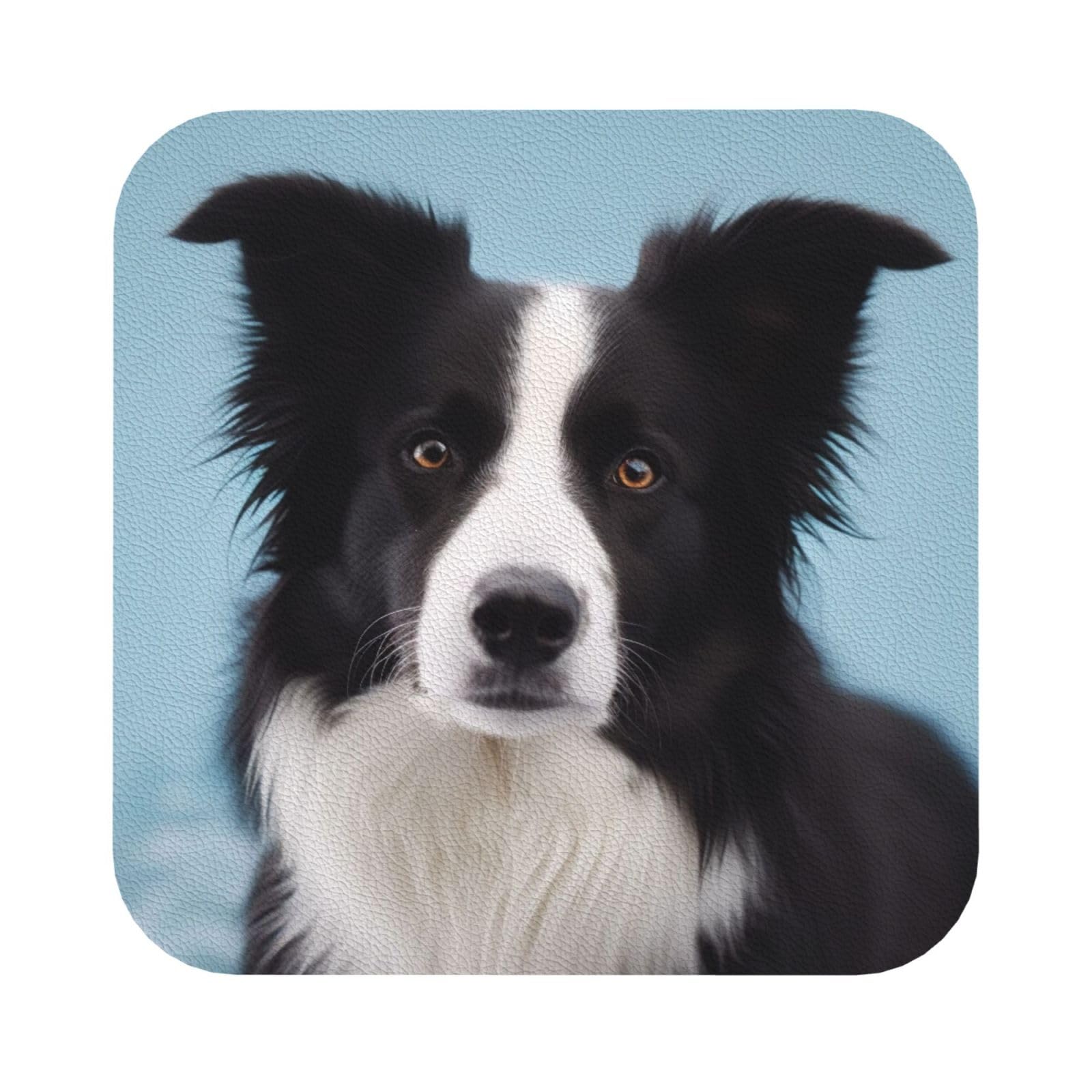 Border Collie Print Leather Coaster Set of 6, Square Coasters Table Decorative Coffee Cup Beverage Coasters Wine Beer Bar Coasters for Hot Drinks Table Protection