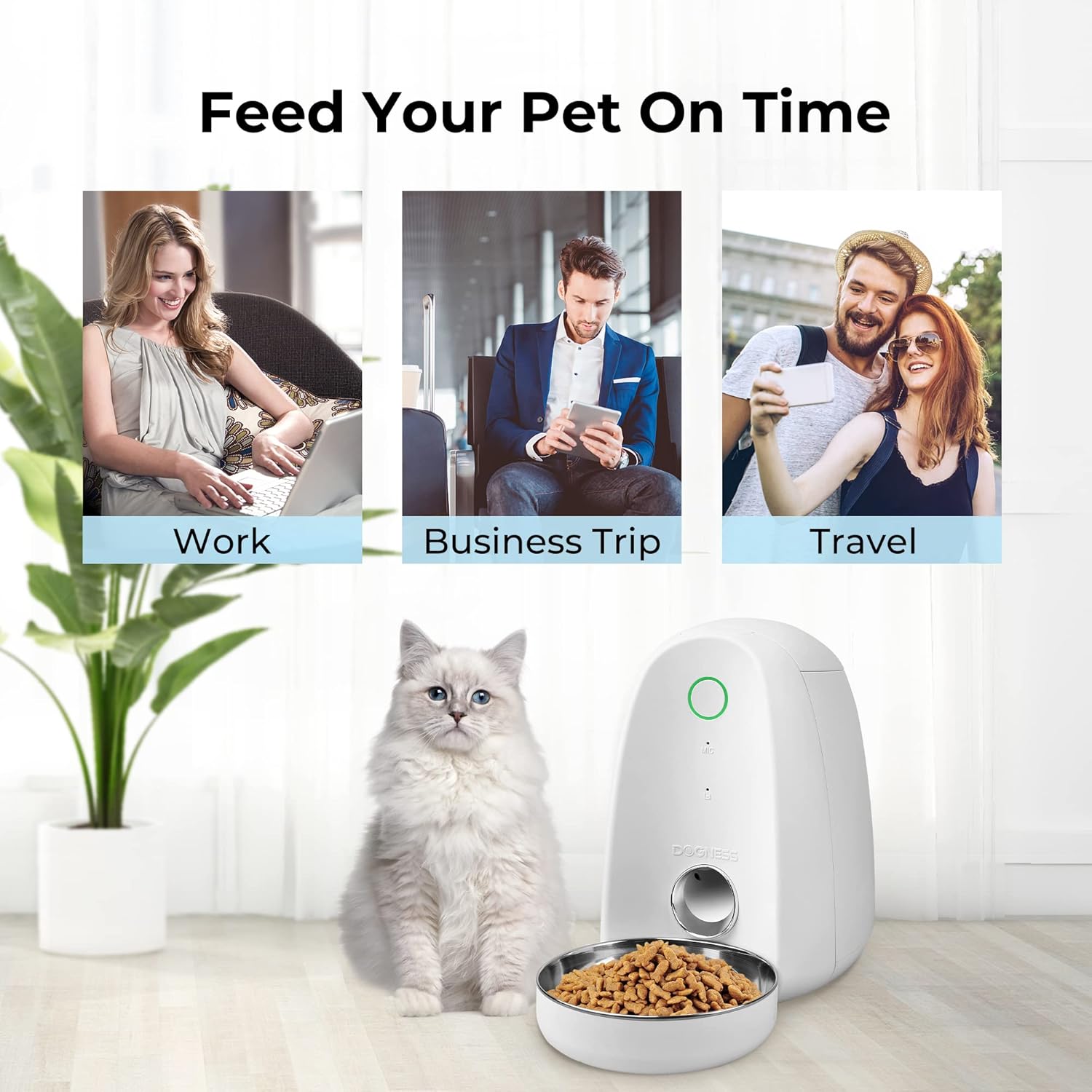 A small brown poodle dog looking at the DOGNESS Automatic Pet Feeder, with a speech bubble saying 'Woof... Woof...' and another speech bubble from the feeder saying 'Hey baby, It's time to eat!'. This illustrates the voice recording feature.