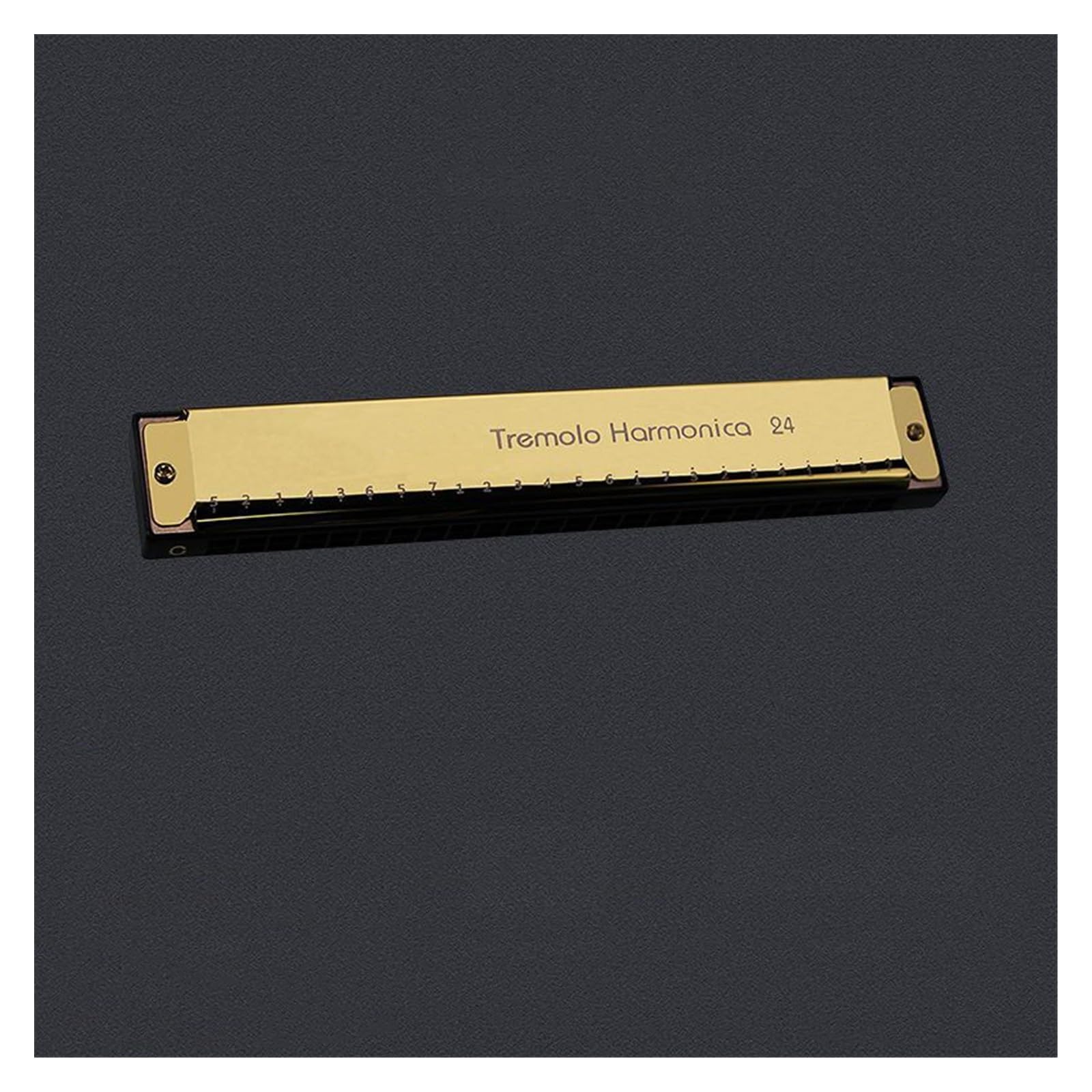 Mundharmonikas 24-Loch-Mundharmonika, Mundharmonika, Musikinstrument, Anfänger, Unterricht, Spielen (Color : Golden)