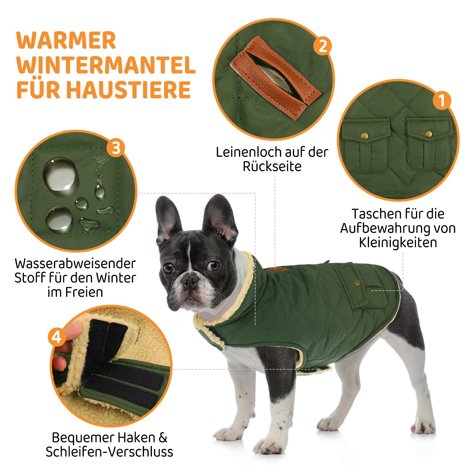 Queenmore Hundemantel Winter Kleine Hunde Warme Wintermantel Hund Fleece Hundejacke Wasserdicht Quilten Hundebekleidung Hundepullover Für Dackel Chihuahua Pudel Französische Bulldogge Beagle, Grün, S | Hundejacke Wasserdicht Quilten Hundebekleidung Hundep