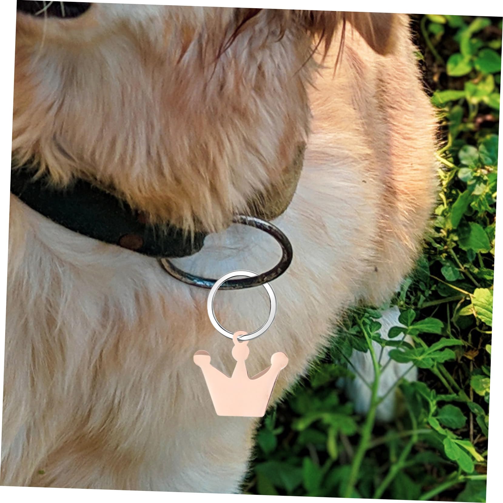 NUOBESTY Pendentif Couronne Ébauches D'étiquettes De Chien Étiquette De Nom De Collier De Chien Plaque D'identification Base De Bricolage Couronne Rose Gold Métal