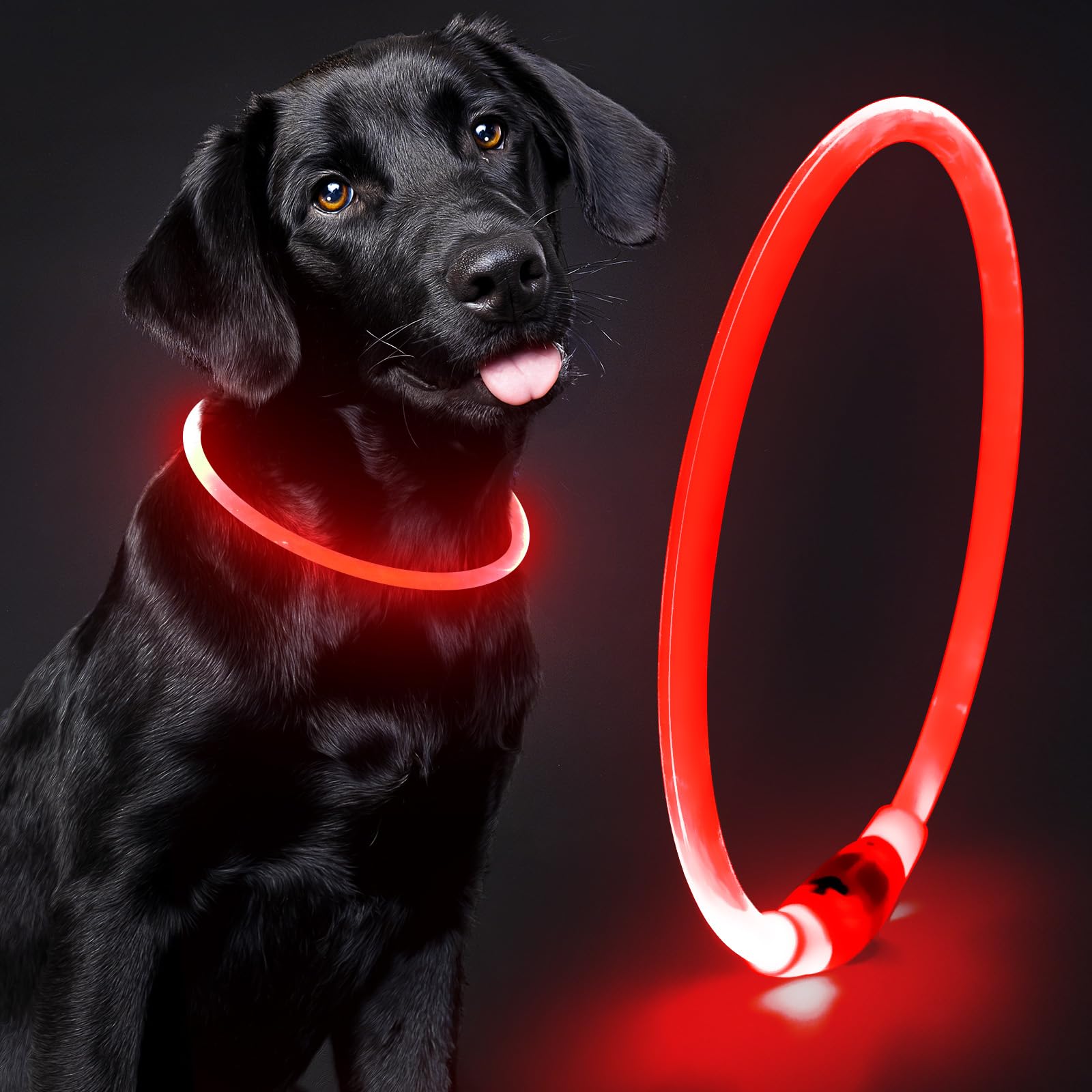 See full amazon price history chart for Domagiker Glow in The Dark Dog Collar - Waterproof LED Dog Collar Rechargeable, Bright Safety Glow in The Dark Dog Collars for Dogs, Cuttable Dog Light Collar for Small Medium Large Dogs (Red) Domagiker Glow in The Dark Dog Collar - Waterproof LED Dog Collar Rechargeable, Bright Safety Glow in The Dark Dog Collars for Dogs, Cuttable Dog Light Collar for Small Medium Large Dogs (Red) (B07ZZ4NXQ7) Amazon Price History, Amazon Price Tracker
