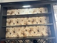 Review Image by Shelly Shelly