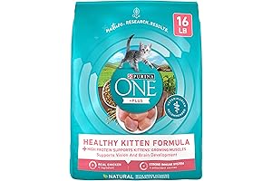 Purina ONE High Protein Natural Dry Kitten Food Plus Healthy Kitten Formula