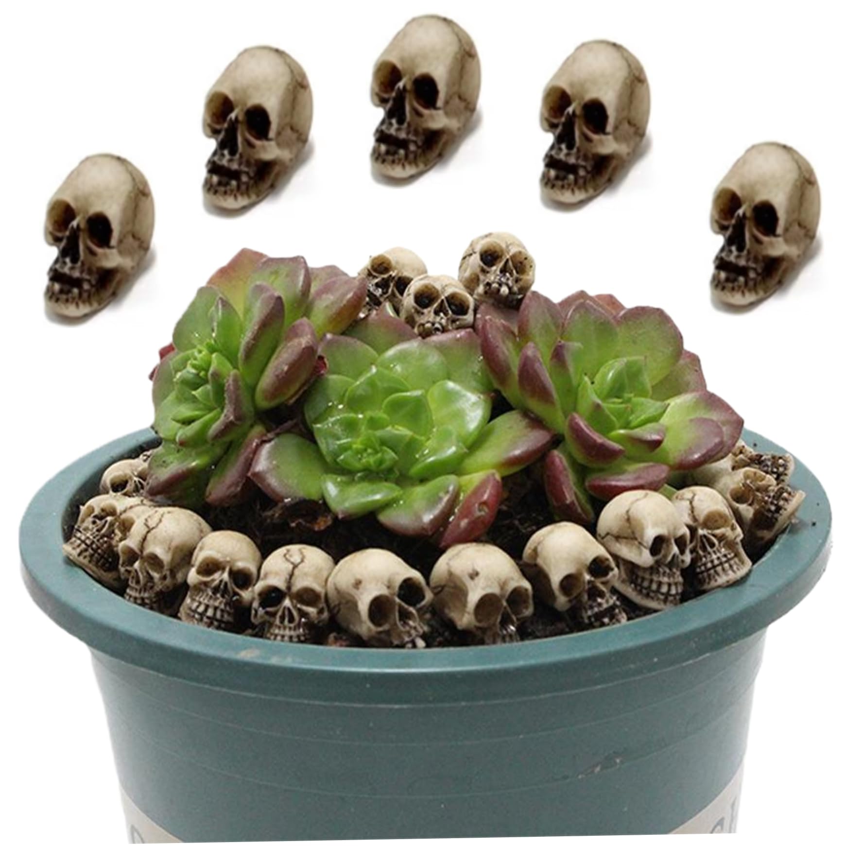 Wedhapy Miniature Figurines Halloween Mini Skulls 20PCS Terrifying Miniature Skulls Resin Fake Bones DIY Mini Skeleton Head for Micro Landscapes, Courtyards, Bonsai