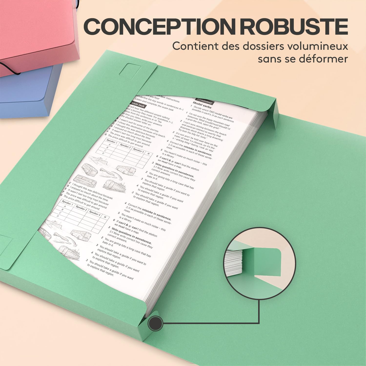 ACROPAQ - 8 x Chemise à Élastiques A4 - Jusqu'à 250 pages, Dos de 3,0 cm, Fermeture Élastique, Vent, Collection de Couleurs 'Nature' - Chemises à Dossier, Range Document