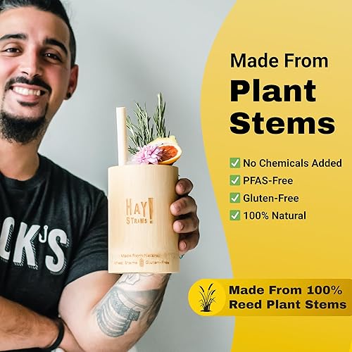 Miniatura 5 de HAY! Straws Pajitas de tallo de caña jumbo | Martini 6 pulgadas | 250 unidades | Ancho 6.5-8.5 de diámetro | 100% a base de plantas, certificado