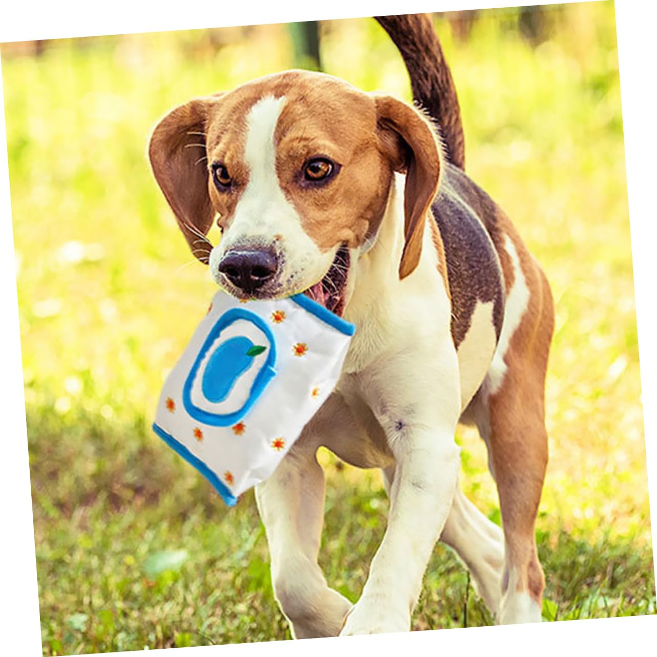 Kisangel 4er-Set Hundespielzeug Interaktives Hundespielzeug Schnüffelpapier-extraktionsspielzeug Für Den Geruchssinn des Haustiers Und Zur Linderung Von Langeweile 2 Stück * 4