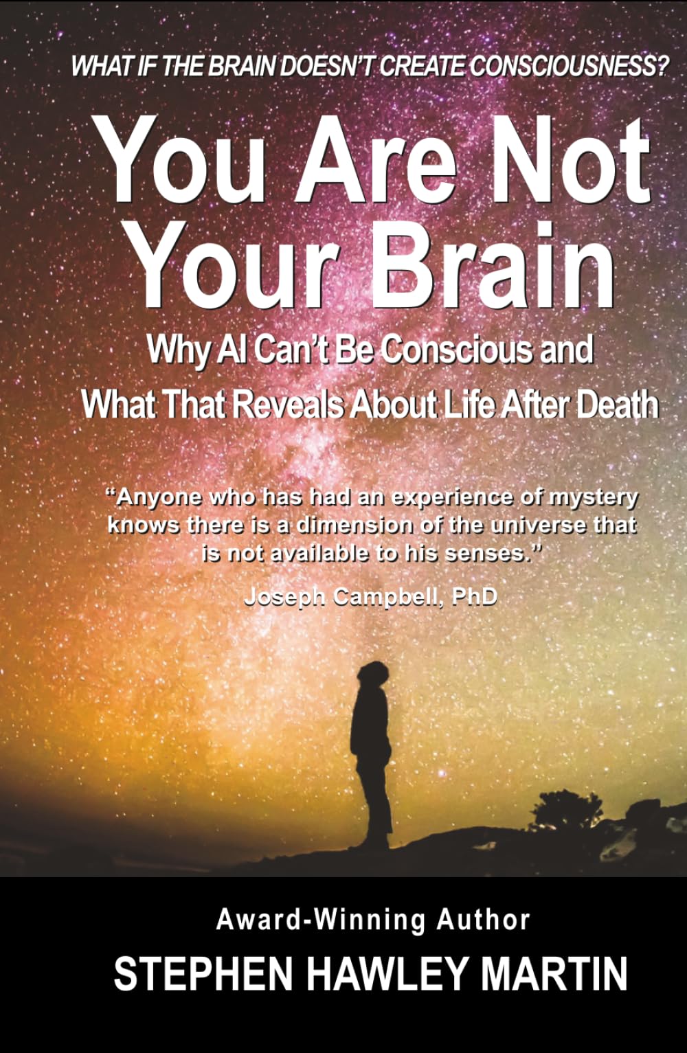 You Are Not Your Brain: Why AI Can’t Be Conscious and What That Means for Life After Death