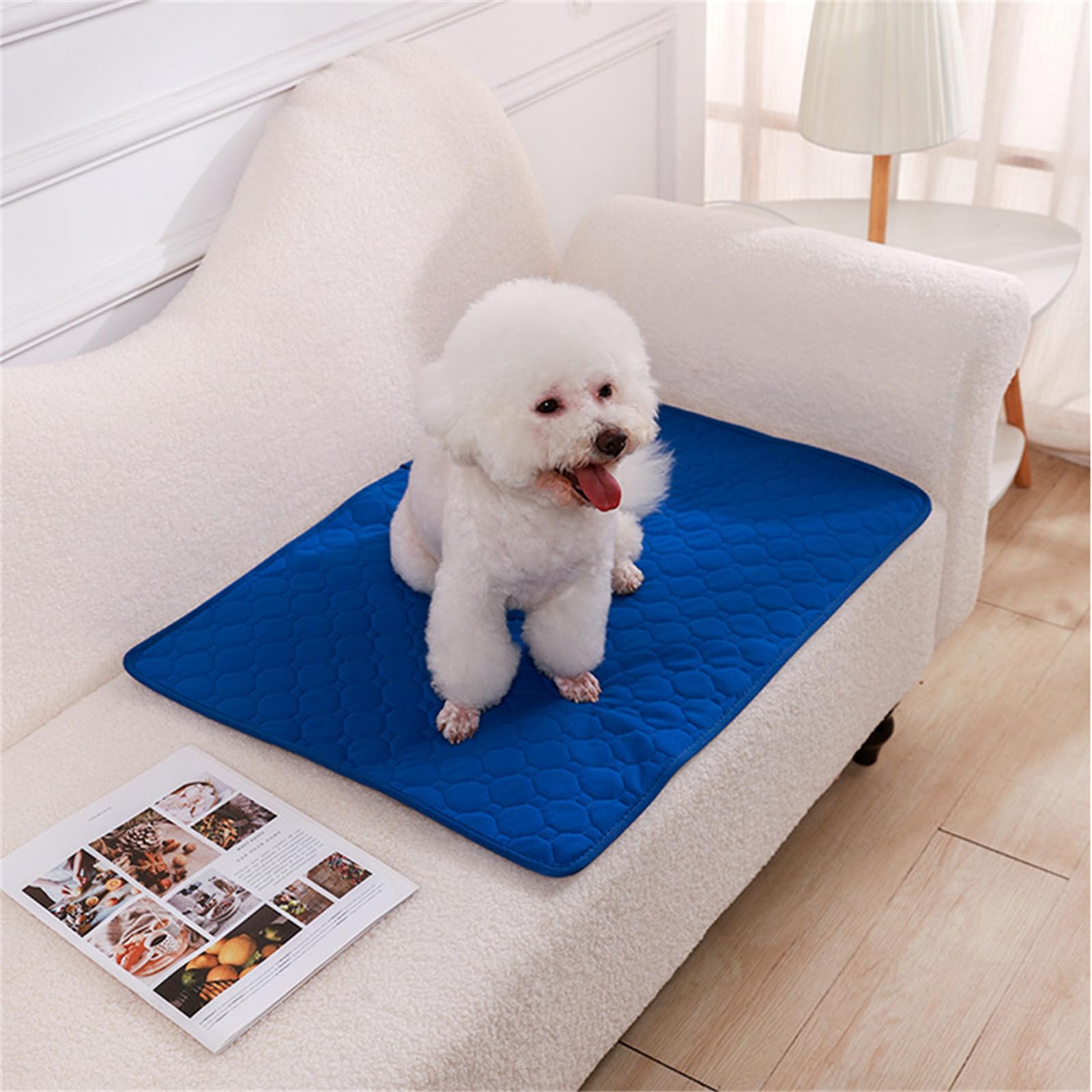 Lukery 2 Pack Washable Pee Pads for Dogs, Waterproof Reusable Dog Pee Pads Non-Slip Soft Pet Diaper Pads Fast Drying Puppy Training Pads for Home,Travel, Car (XL(100 * 70cm),Blue)