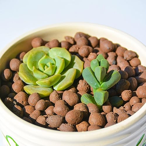 Vista 36 de Halatool Guijarros de arcilla expandida de 12 libras para plantas en maceta, bolas de leca de arcilla orgánica Lightweitht para hidroponía