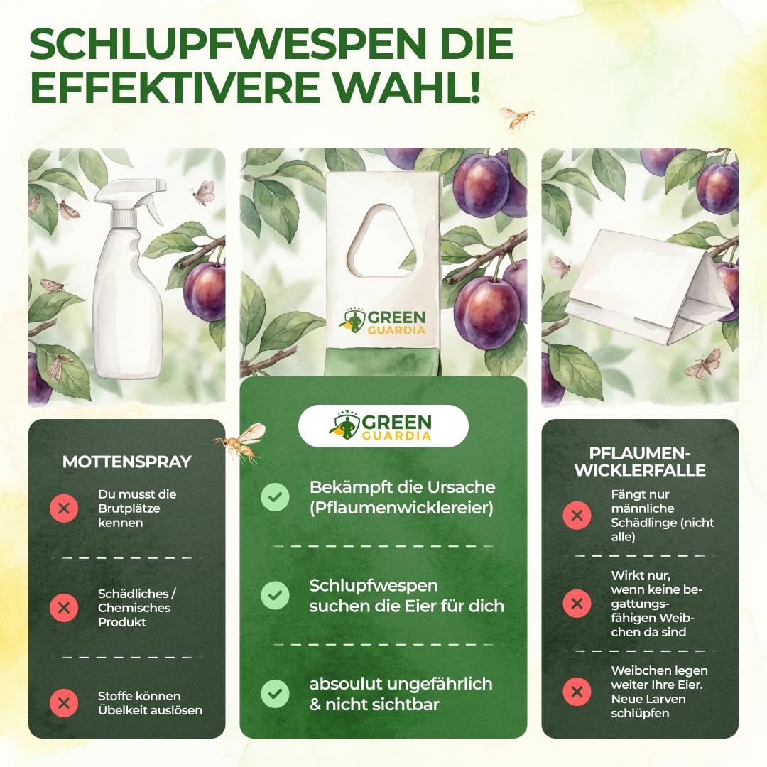 GREEN GUARDIA Schlupfwespen gegen Pflaumenwickler - 3 Karten à 3 Lieferungen - Effektive Bio-Bekämpfung gegen Pflaumenwickler, Alternative zuWicklerfalle, Spritzmitteln, Nematoden & Pheromonfallen