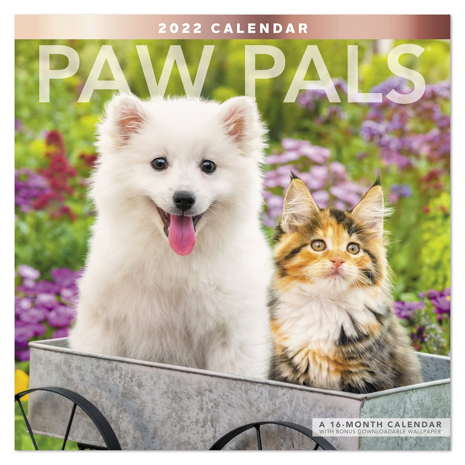 2022 Paw Pals Wall Calendar, 12" x 12", Monthly (LME22610) — image 1