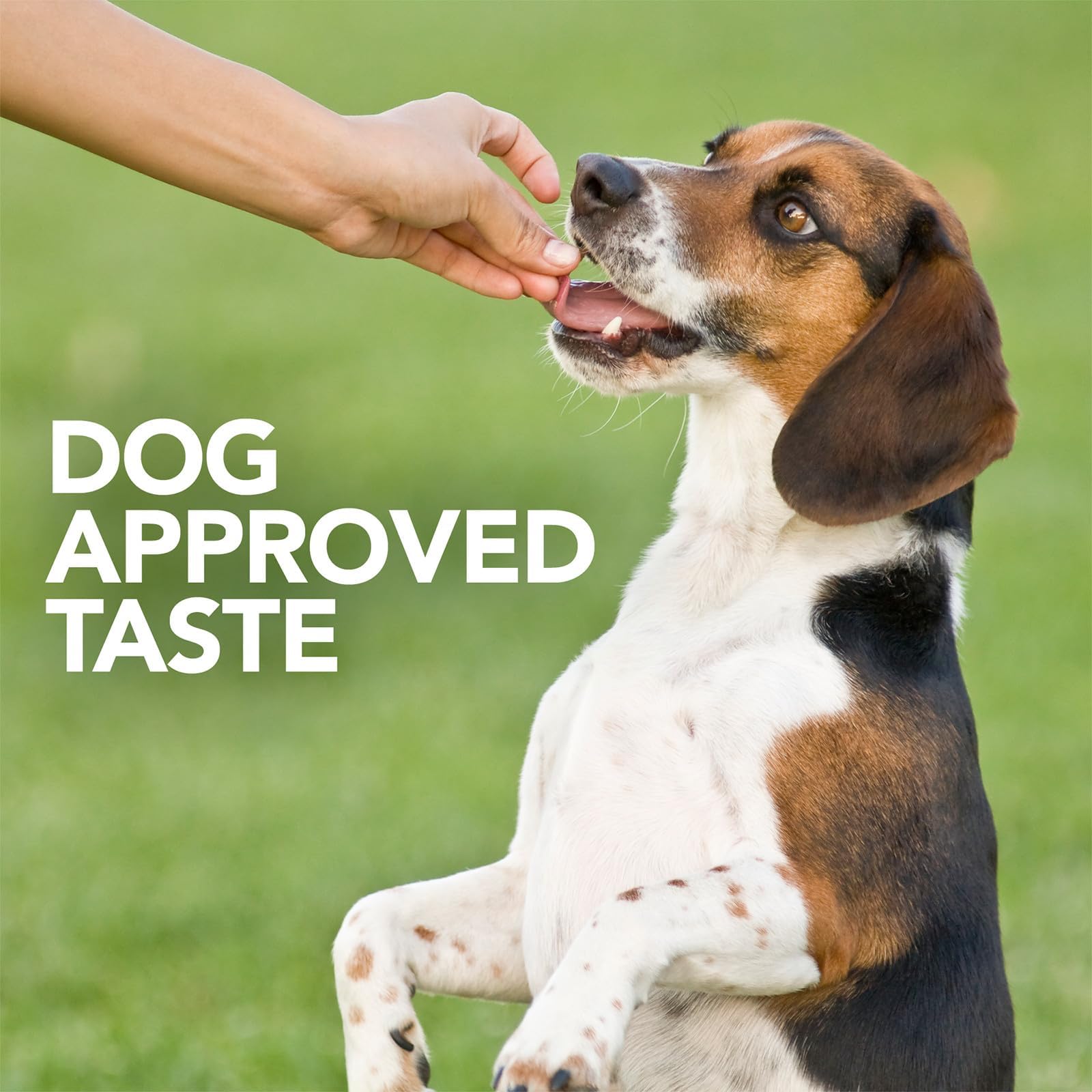 THE BRAMTON COMPANY Vet's Best Soft Chews-Probiotic