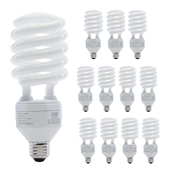 Feit ESL40TN/D 150W Equivalent CFL Twist Daylight Bulb (Pack of 12)