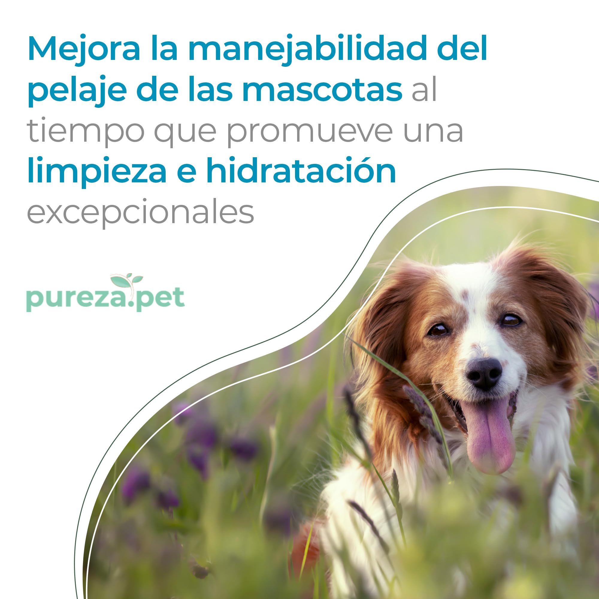 PUREZA PET Champú Nutrition Pro Hipoalergénico 1L - Línea Profesional - Nutrición y Reestructuración del Pelo de Perros y Gatos - Vegano, Sin Parabenos, Silicona y Sulfatos