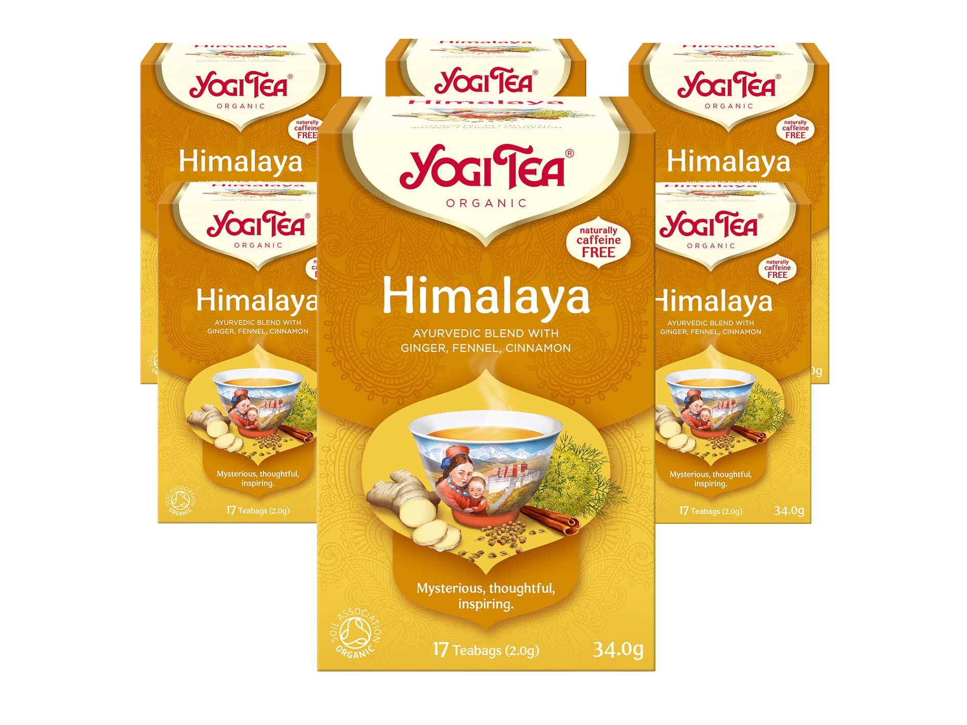 Yogi Tea, Himalaya, Organic Spice and Herbal Tea, Caffeine Free, Blend of Ginger, Fennel and Cinnamon, 6 Packs x 17 Tea Bags (102 Teabags Total)
