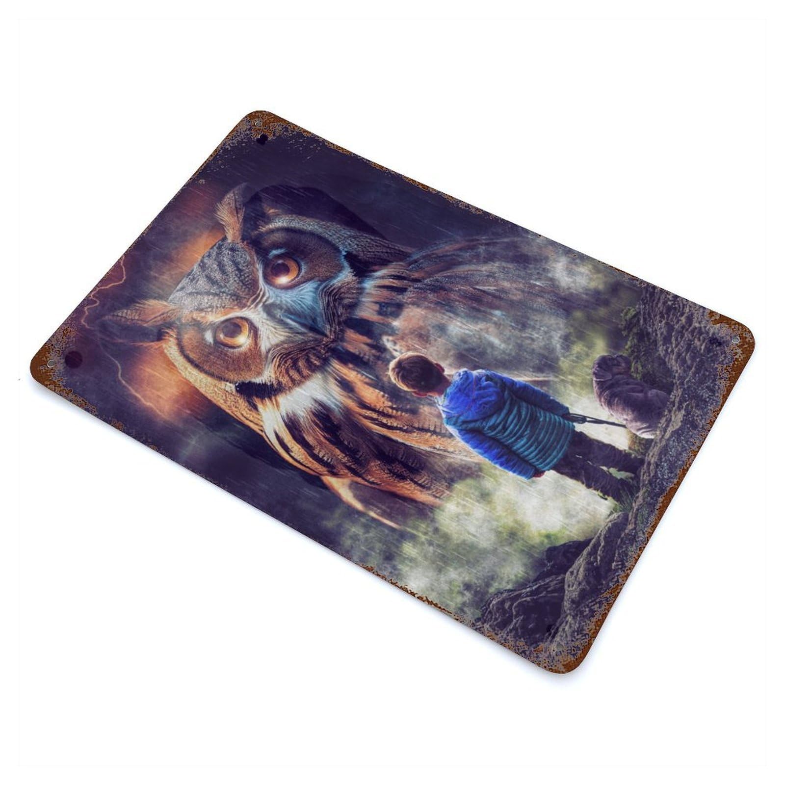 Retro Metal Sign with Boy And Giant Owl Design 11.8"x7.9", for Living Room, Hallway And Home Decor, Farmhouse Wall Decor