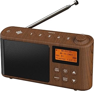 DAB Radio Portable, DAB Plus/DAB Radio, FM Radio, Small Radio, Portable Radios Mains and Battery, USB Charging for 15 Hours Playback, Large LCD Display (Spectrum by iBox)