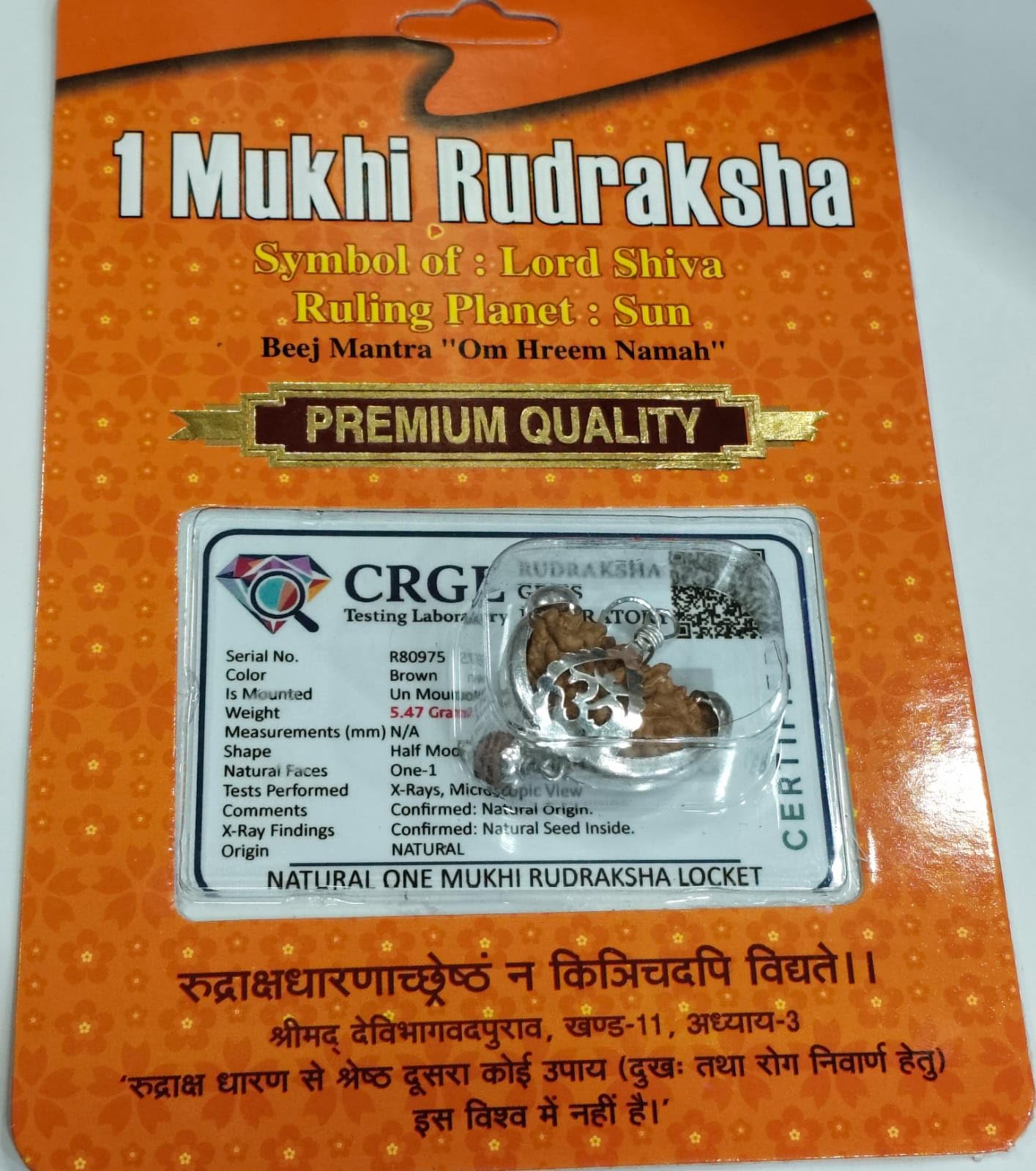 Genuine Nepali One Mukhi Rudraksha Pendant -2
