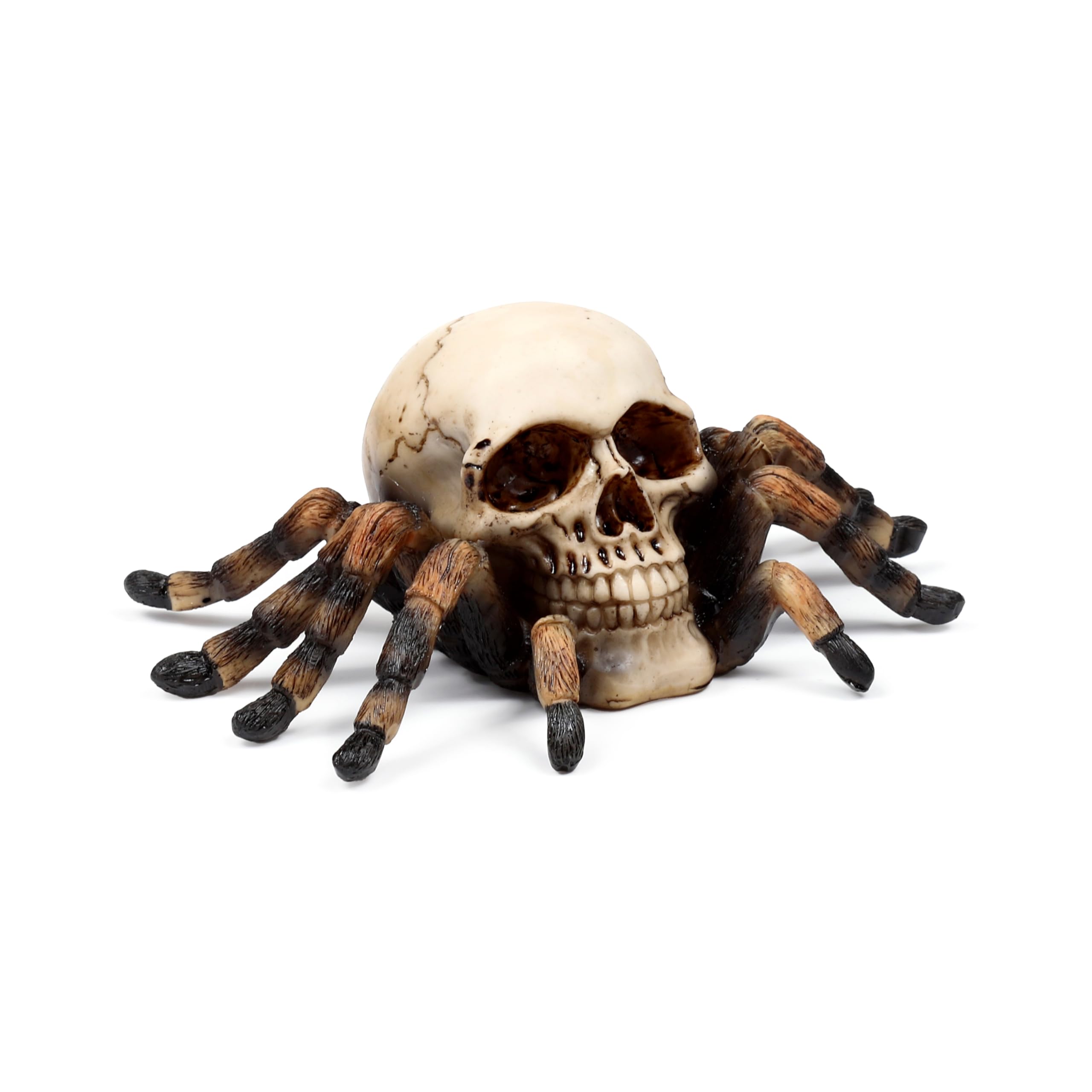 Puckator Skull with Spider Legs - Cute Room Decor - Aesthetic Feng Shui Meditation Accessories - Garden Ornaments - Shelf Desk Decorations - Mindfulness Home Gifts - Statues