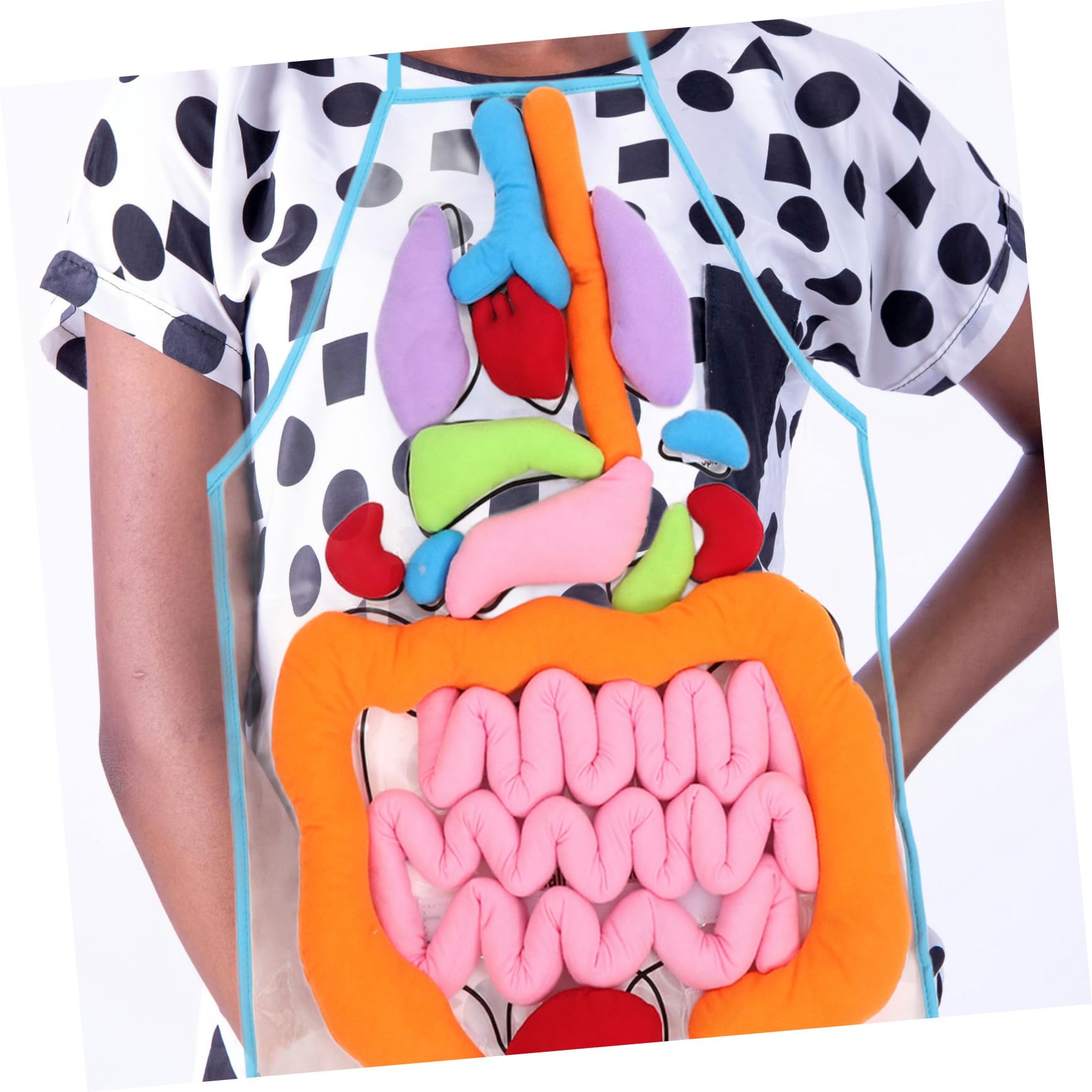 Uonlytech Delantal Educativo en 3D Material Didáctico de Poliéster y Felpa de Órganos del Cuerpo Humano para Niños Adecuado para Jardín de Infancia y Aprendizaje en Casa