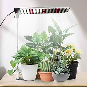 植物ライト 71IkMfTMwYL._AC_UF350,