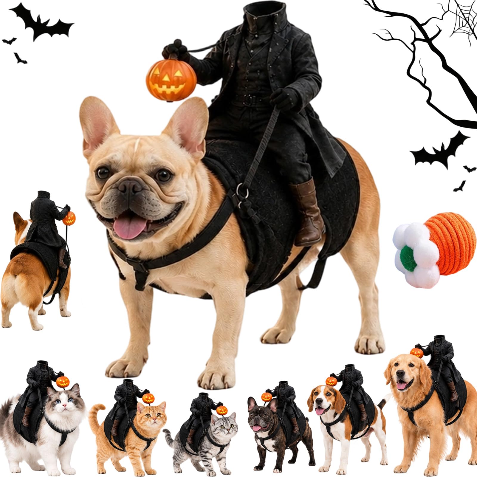 Light-Up Headless Horseman Pet Costume, Dog Costume Headless Horseman，L