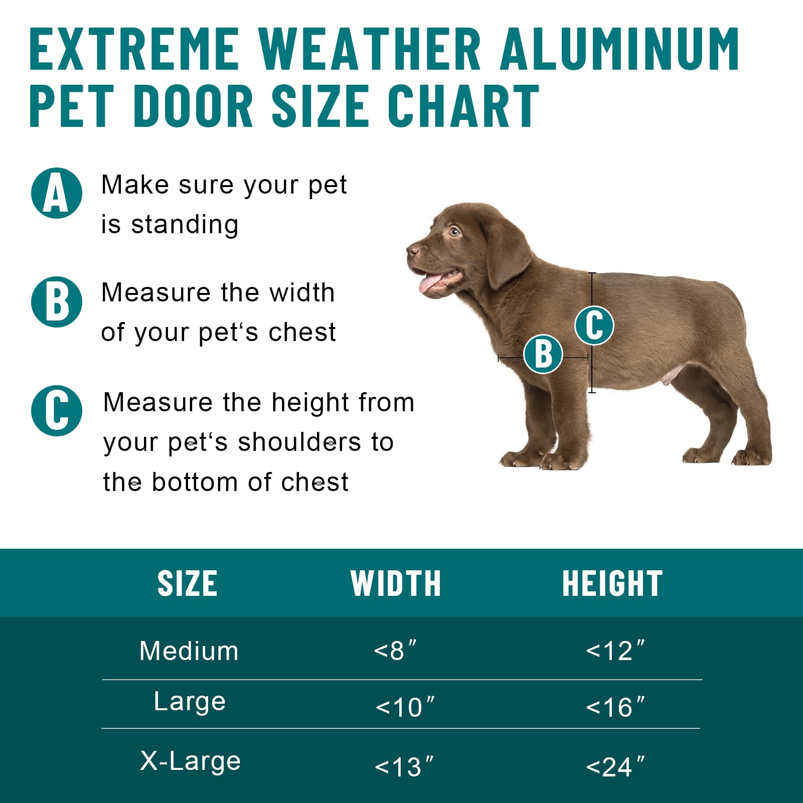XL Hundeklappe für große Hunde, extra große Hundetür aus Kunststoff, wetterfeste Hundetür mit Magnetverschluss, Doppelklappe für Windschutz und Kälteschutz, stabile Haustiertür für Türen