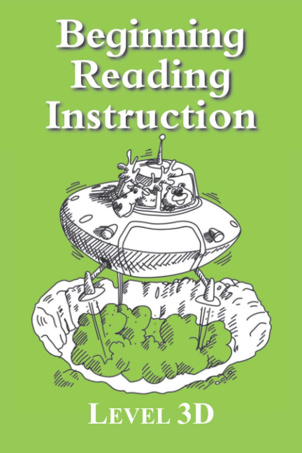Beginning Reading Instruction Level 3D: The Learning Path to Reading Success