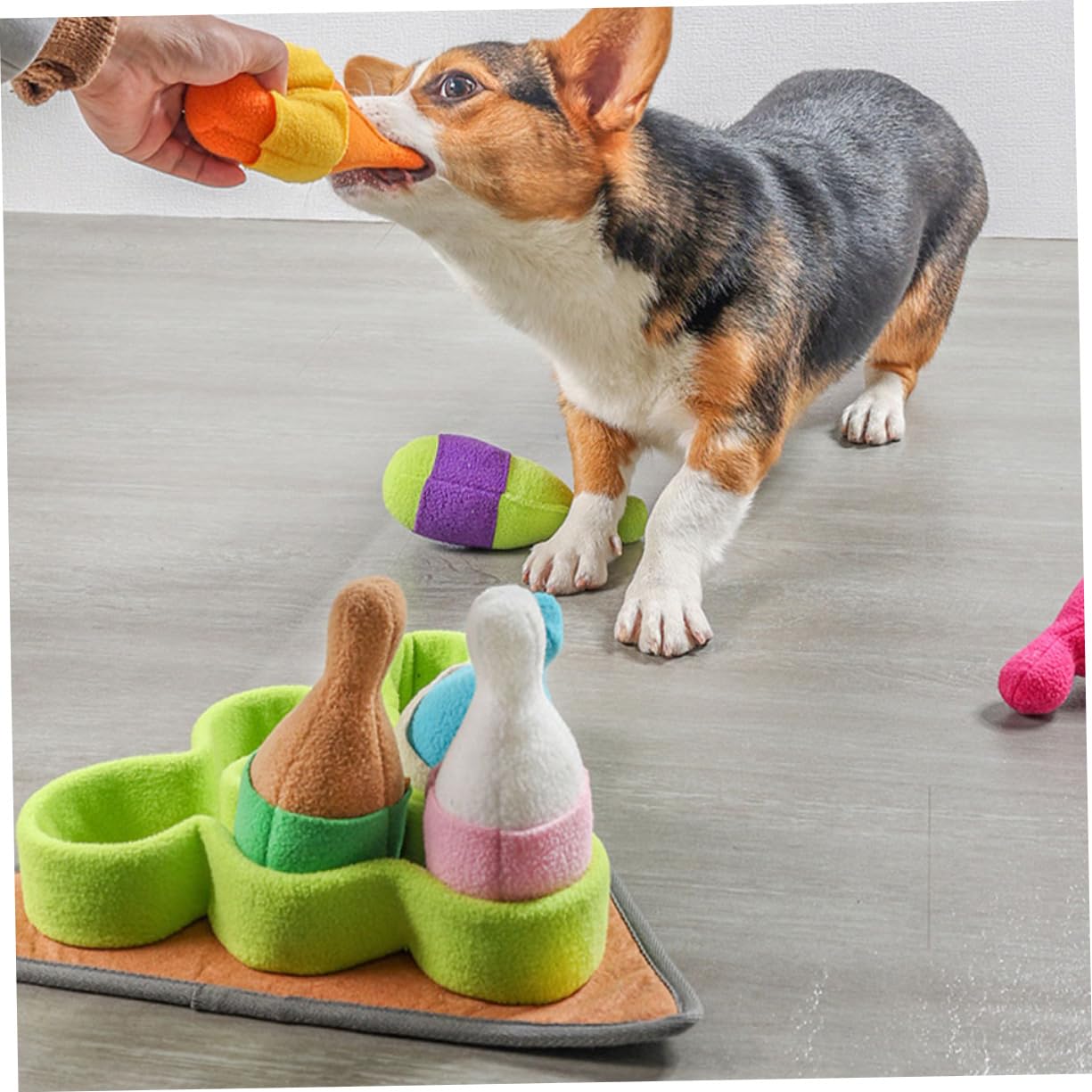 Tragbares Hundespielzeug Bowling Form aus Polar Fleece Verschleißfestes Beschäftigungsspielzeug für Welpen und Hundetraining im Haushalt