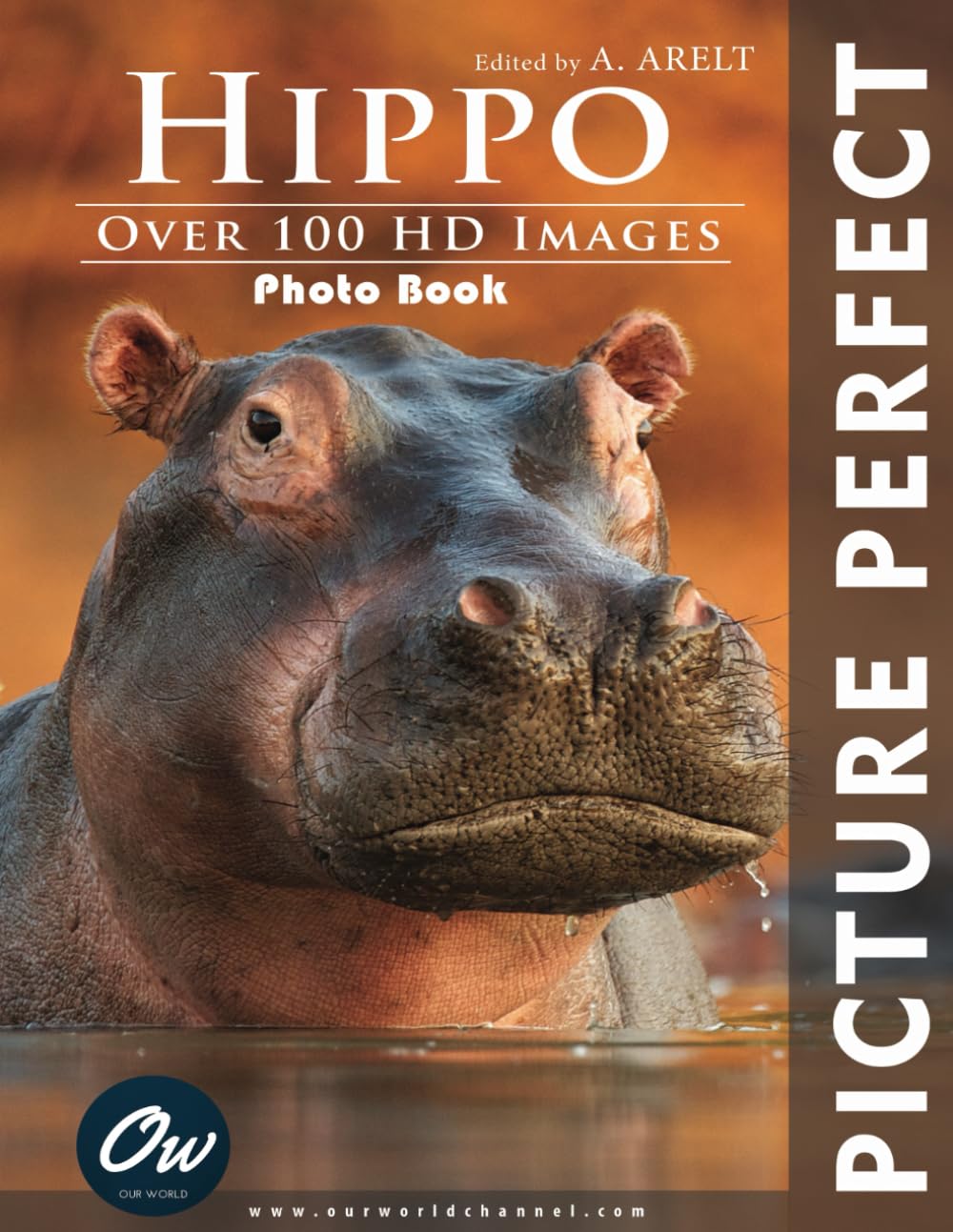 Hippo: Picture Perfect Photo Book