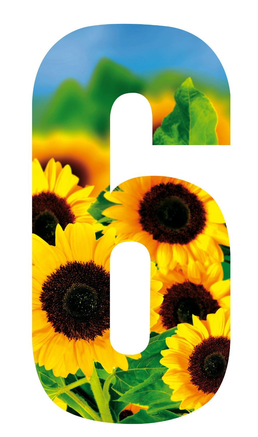 Wheelie Bin Number Sunflower 6