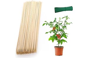hopelf 16 Sticks Bamboo Plant Stakes Pack of 200 with 4 inch Wires