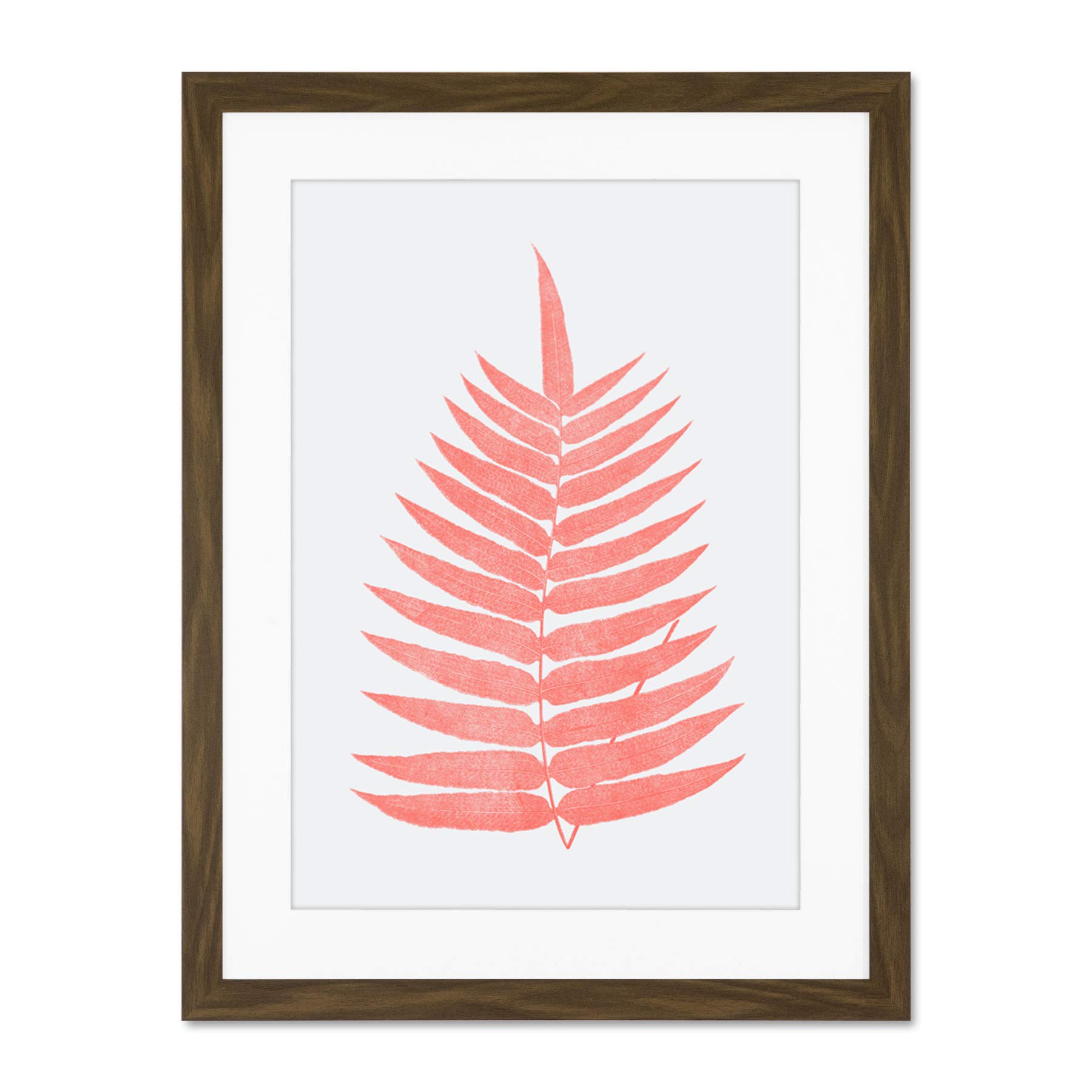 Wee Blue Coo Living Coral Fern Large Brown Framed Art Print Wall Poster 18x24 inch