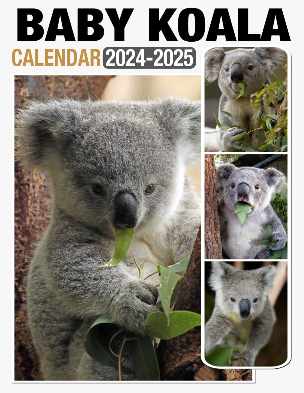Baby Koala Calendar 2024 2025 Bring Joy and Stay