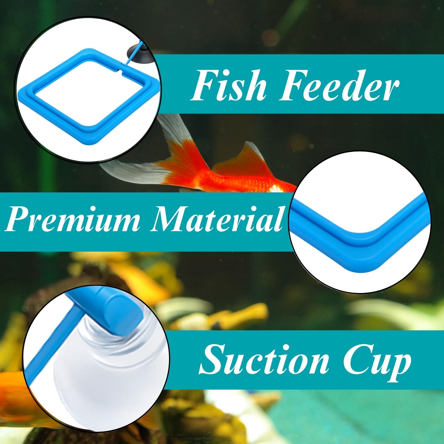 Sage Square Square Floating Feeding Ring for Aquarium | Adjustable Suction Cup Attachment | Prevents Food Scattering | Keeps Aquarium Clean | Floating Food Tray for Flakes, Pellets | All Fish Tanks 1