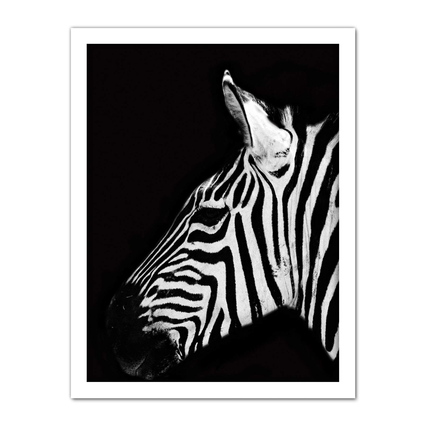 Artery8 Zebra Head Animal Black White Photo Artwork Framed Wall Art Print 18X24 Inch