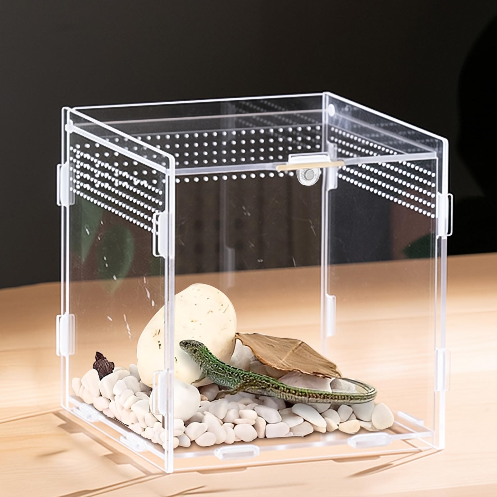 Terrarium En Acrylique Transparent 15x15x15 Cm - Pour Phasmes, Escargots, Petites Araignées, Reptiles Et Insectes - 3